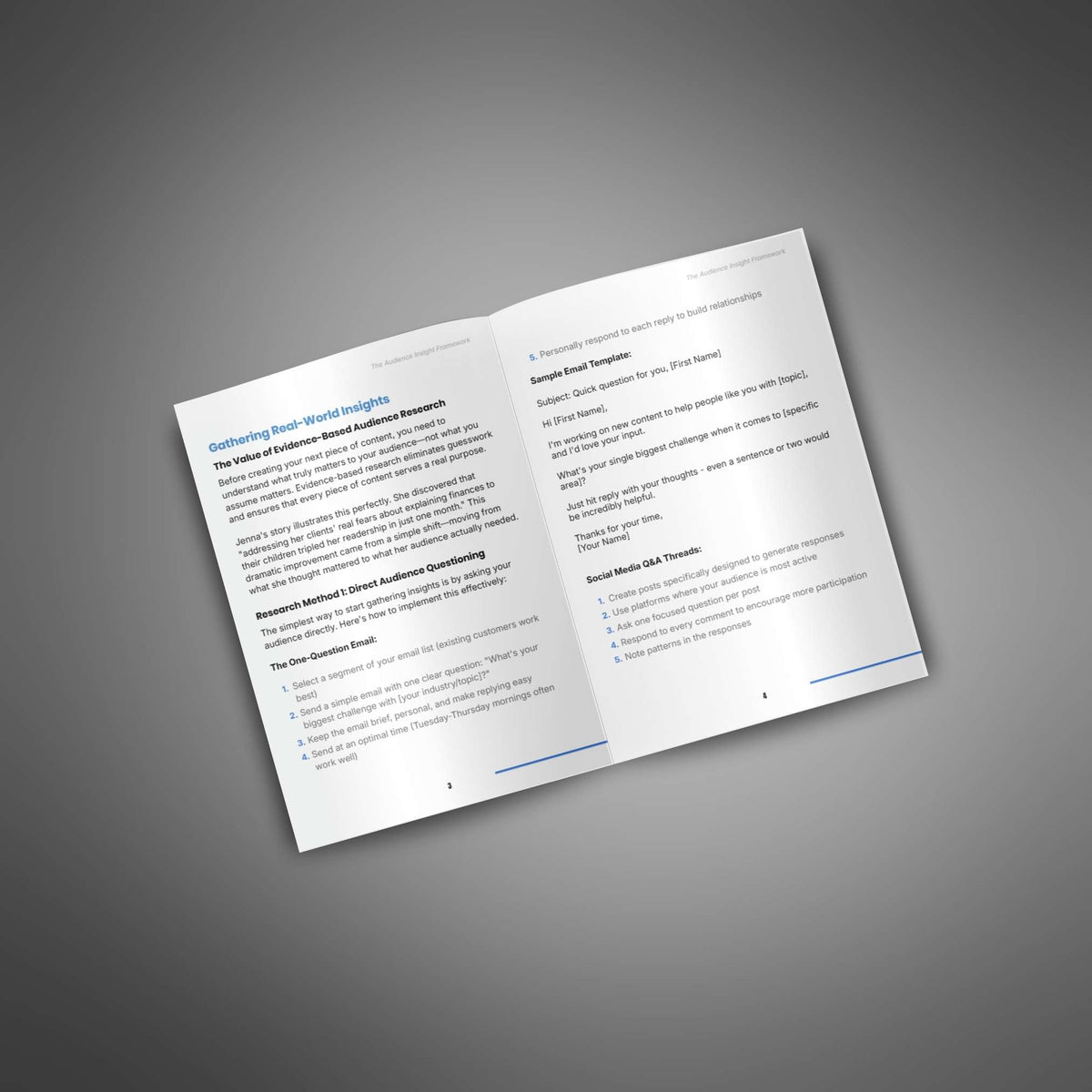 The Audience Insight Framework